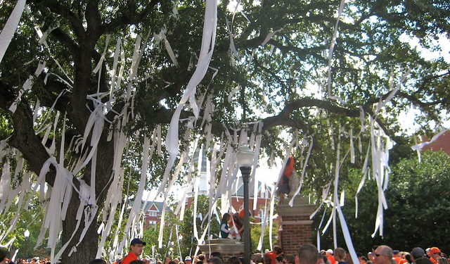 Harvey Updyke: Family time, prison life and the road ahead