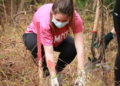 Samford students and faculty volunteer in annual tree planting