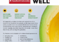 Online magazine provides resources to better overall student wellness