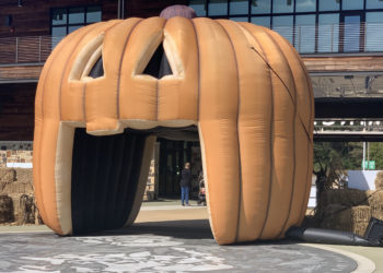 Photos: Birmingham Zoo hosts annual Hoots & Howls Halloween event
