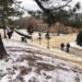 Samford students react to virtual classes on snow day