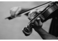 Music Review: Samford String Quartet performs in person and virtually