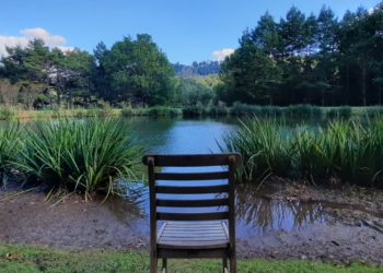 Remembering late professor Jane Holston