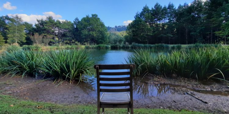 Remembering late professor Jane Holston