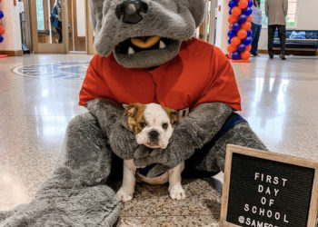 Buxley the Bulldog charms all of campus