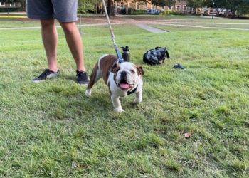 Class of 2024 hosts Canines and Coffee