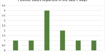 Looking ahead: COVID-19 over the holidays