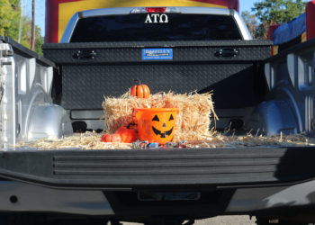 A truck trunk of terrific treats.