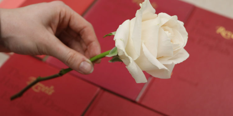 White roses were handed out across campus to promote the app's upcoming launch.