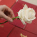 White roses were handed out across campus to promote the app's upcoming launch.