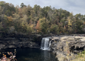 Be part of the solution: ways to support sustainability in Birmingham