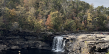 Be part of the solution: ways to support sustainability in Birmingham