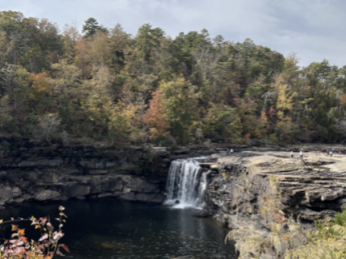 Be part of the solution: ways to support sustainability in Birmingham