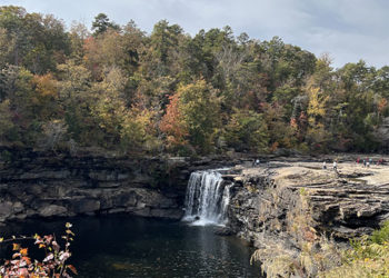 There are numerous ways for people to get involved and help the natural world around them.