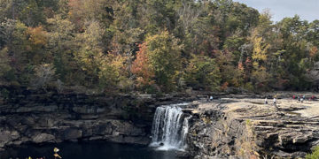 There are numerous ways for people to get involved and help the natural world around them.