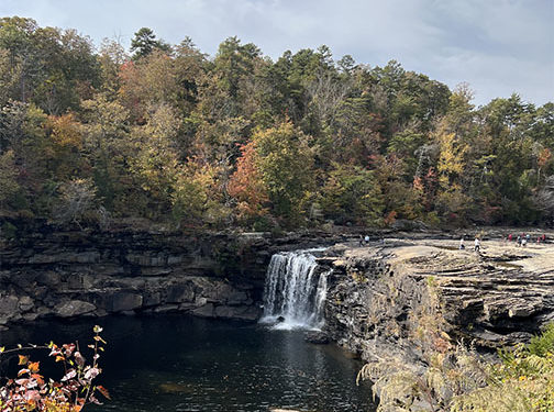 There are numerous ways for people to get involved and help the natural world around them.