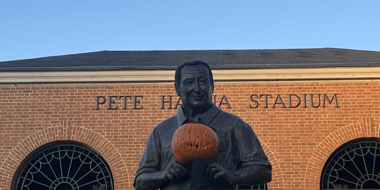 Costume tips with The Samford Bee