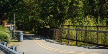 Digital Security and False Alarms: Misinformation About Gang Activity Spreads at Samford