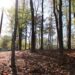 Autumn temperatures rise in Alabama