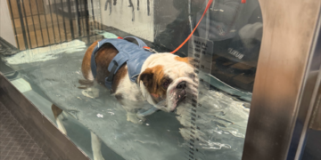 Buxley on the road to recovery