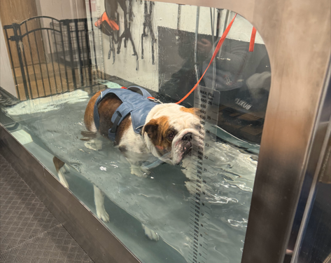 Buxley on the road to recovery