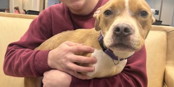 Fiji Puppy “Wags” It’s Way into the Hearts of Samford Students 
