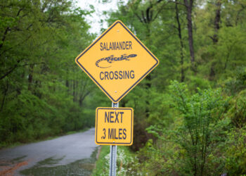 Creekside Development passes planning commission