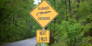 Creekside Development passes planning commission