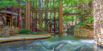 Samford Solutions: Quit being lazy and live off the land 