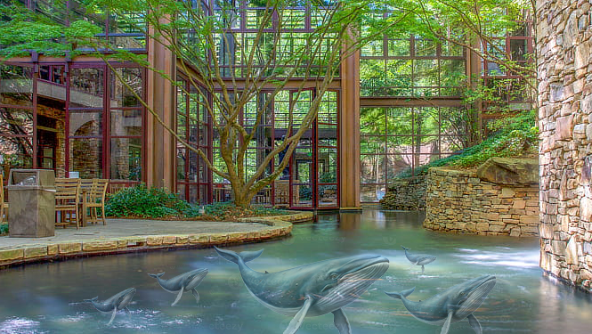 Samford Solutions: Quit being lazy and live off the land