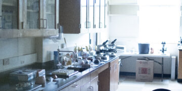 Anatomy and Physiology change to A&P I and II 