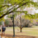 Samford ranked for beautiful campus: Students chime in on their experience