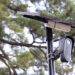 Flock cameras multiply on campus
